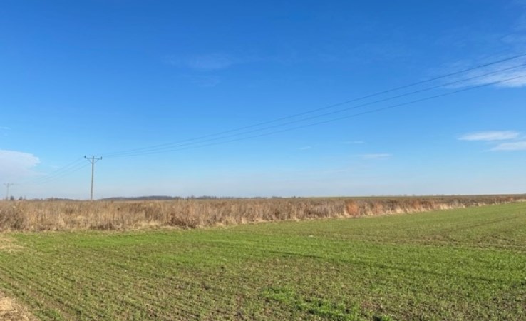 działka na sprzedaż - Długołęka, Godzieszowa